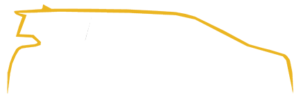 DLS Limousine